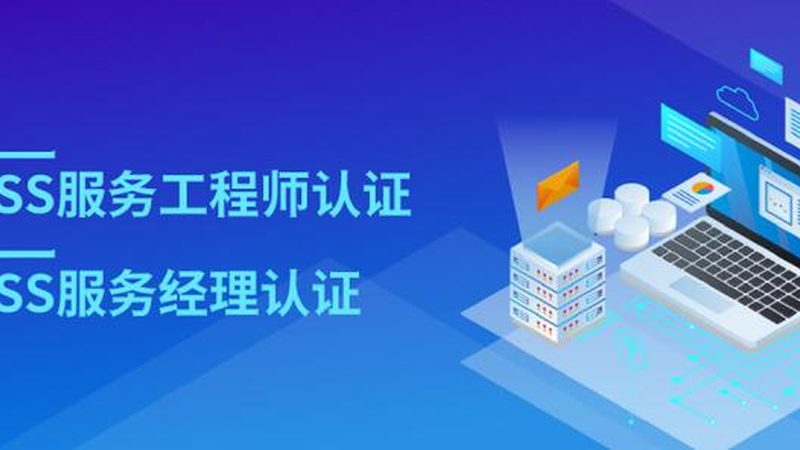 制造业it外包定制化方案